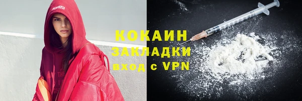 PSILOCYBIN Белокуриха