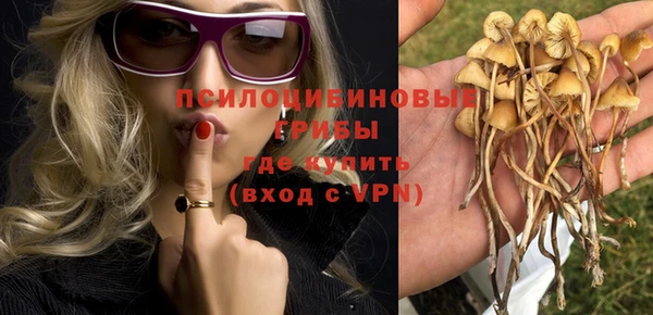 PSILOCYBIN Белокуриха