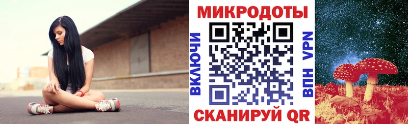 нарко площадка формула Каневская Галлюциногенные грибы Cubensis